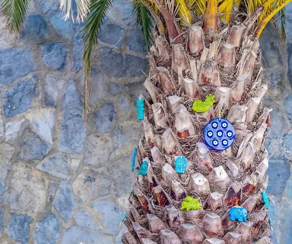 Bombien Yalıkavak Bodrum